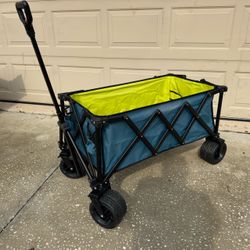 Beach Wagon Fat Tire