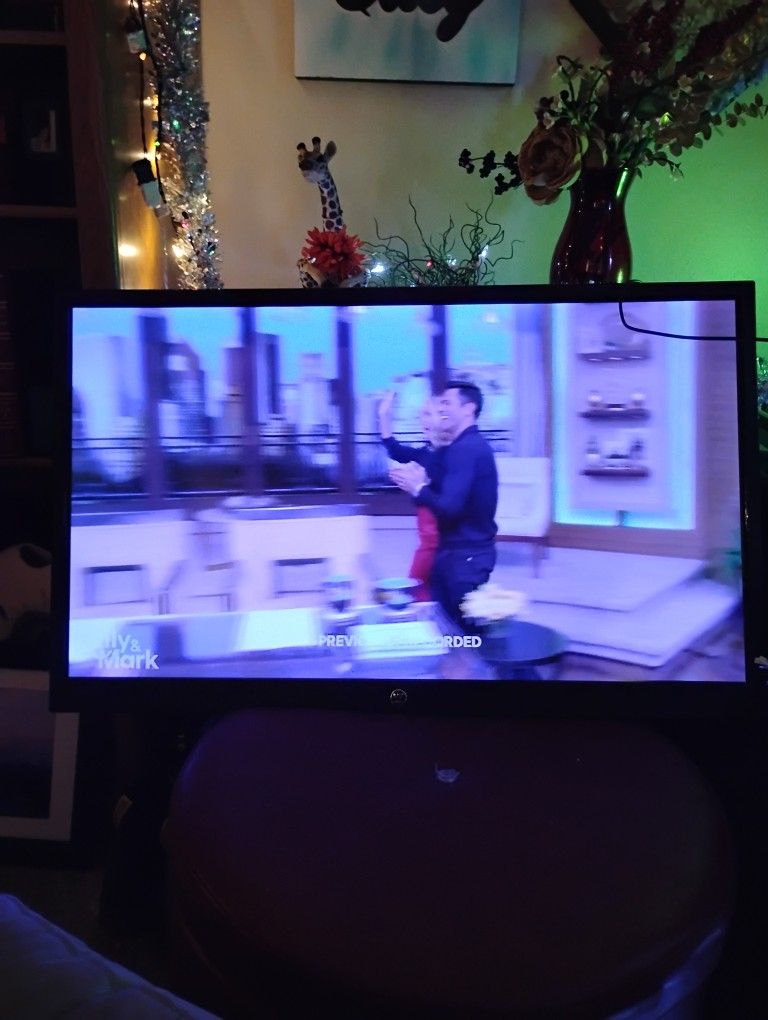40 Inch TV