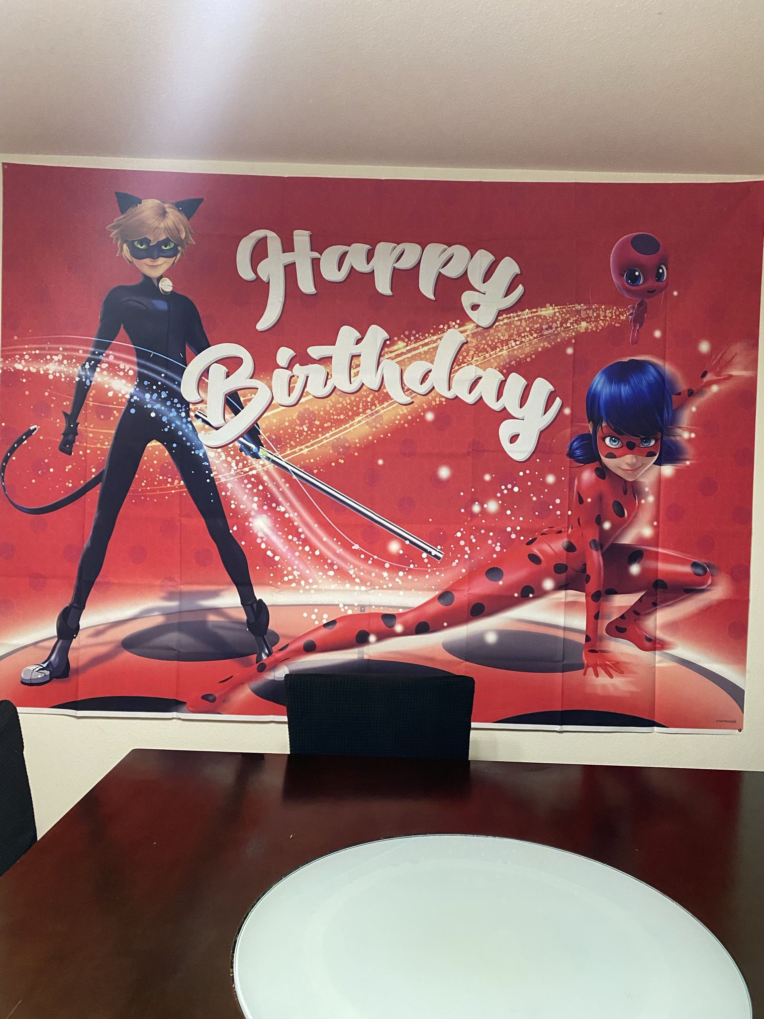 Miraculous Ladybug 🐞 Birthday photo Drop / Birthday decorations 