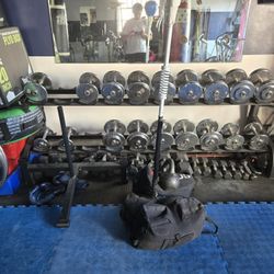 Ivanka Pro Style Chrome Dumbells 