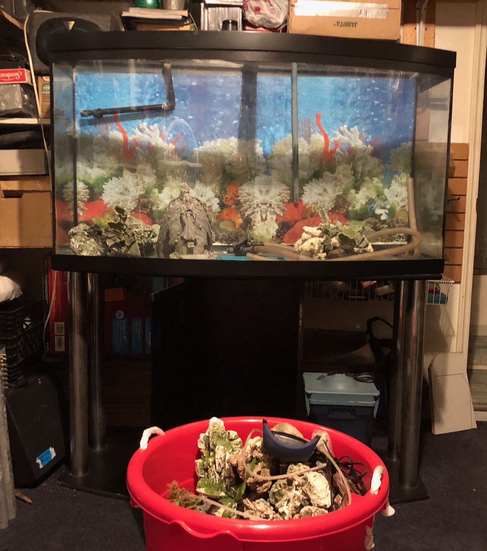 60 Gallon Fish Tank with stand and accessories