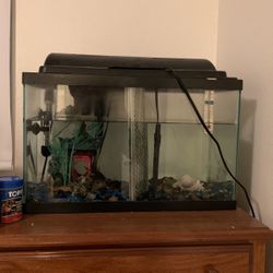 Fish Tank Includes All