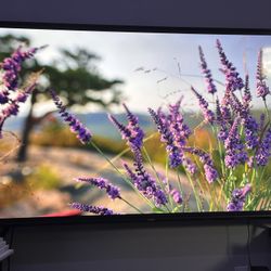 70” Vizio Smart TV