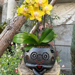 Cute Planter Pot