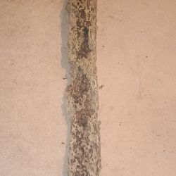 Large Intricate Wormwood For Crafts Or Resin