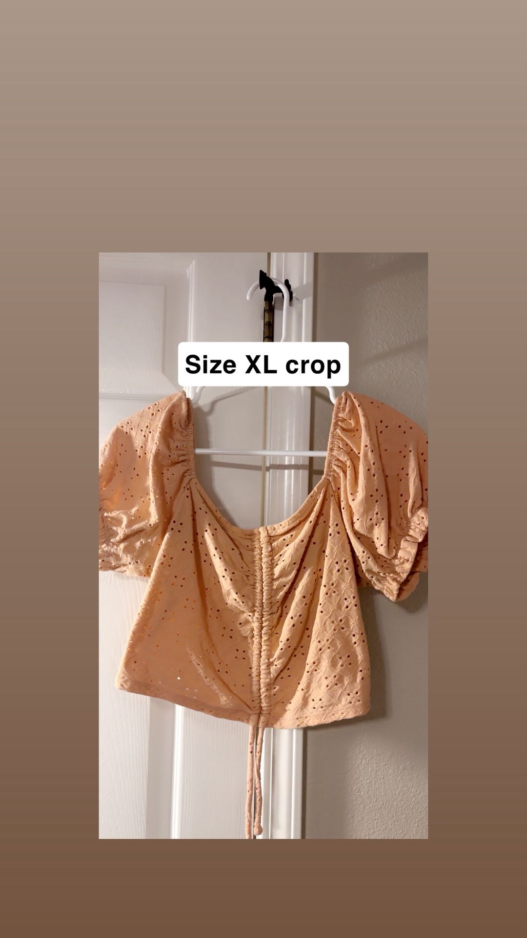 XL Peach Crop
