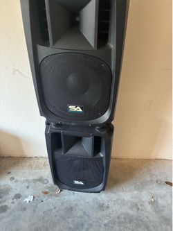 2 Professional Seismic Audio Subwoofers