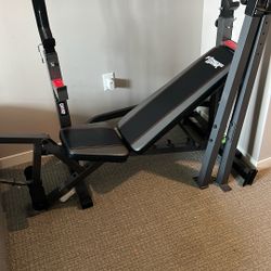 Bench press and leg lifter