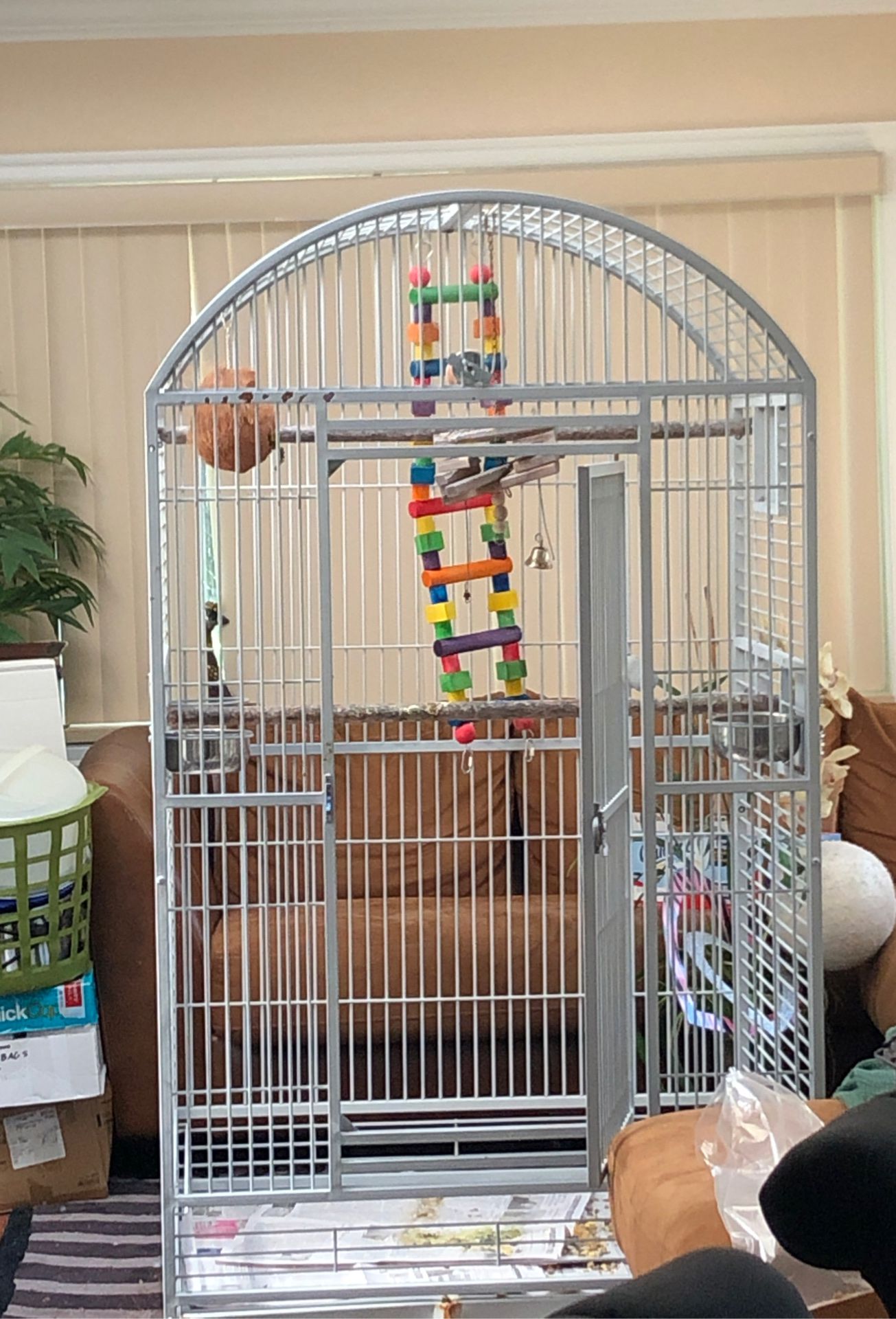 Large bird cage