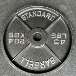 Rogue Steel Olympic 45lb Weight Plates