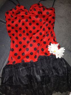 Ladybug