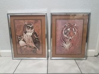 Tiger and Owl picture frames, best offer
