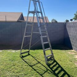 8 Feet Ladder 