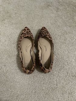 Cheetah Flats