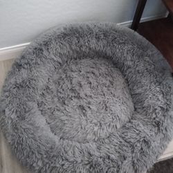 Dog (4) Bundle Medium 