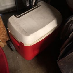 Igloo Fridge