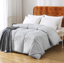 Oaken-Cat Gray Goose Feathers Down Comforter Twin