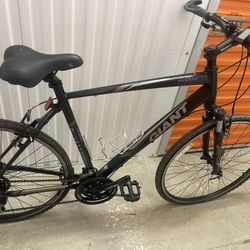 3XL Roam Bike 
