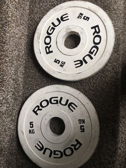 Rogue Change Plates 50.00 For The Pair