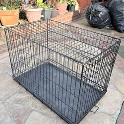 Black Dog Cage