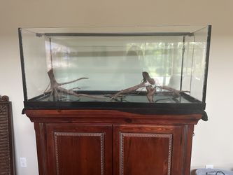 70 Gallon Custom Rimless Fish Tank & Accessories