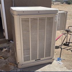 Champion Water Cooler 