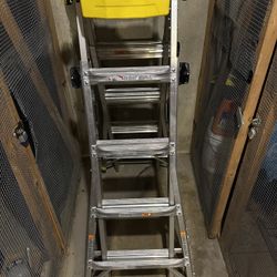 Gorilla Ladder 