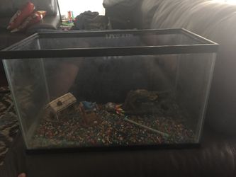 Fish tank with some decor