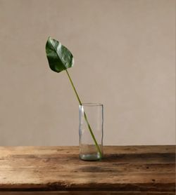 New! 44" Arhaus Faux Bird of Paradise Leaf