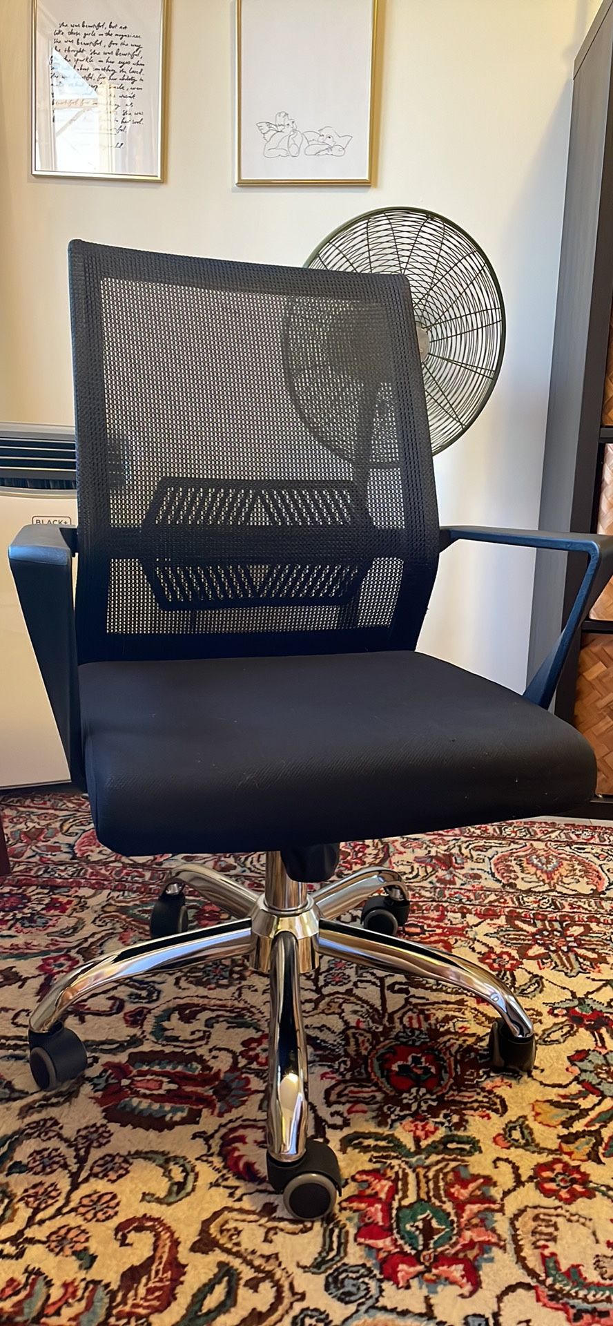 Ergonomic Chair