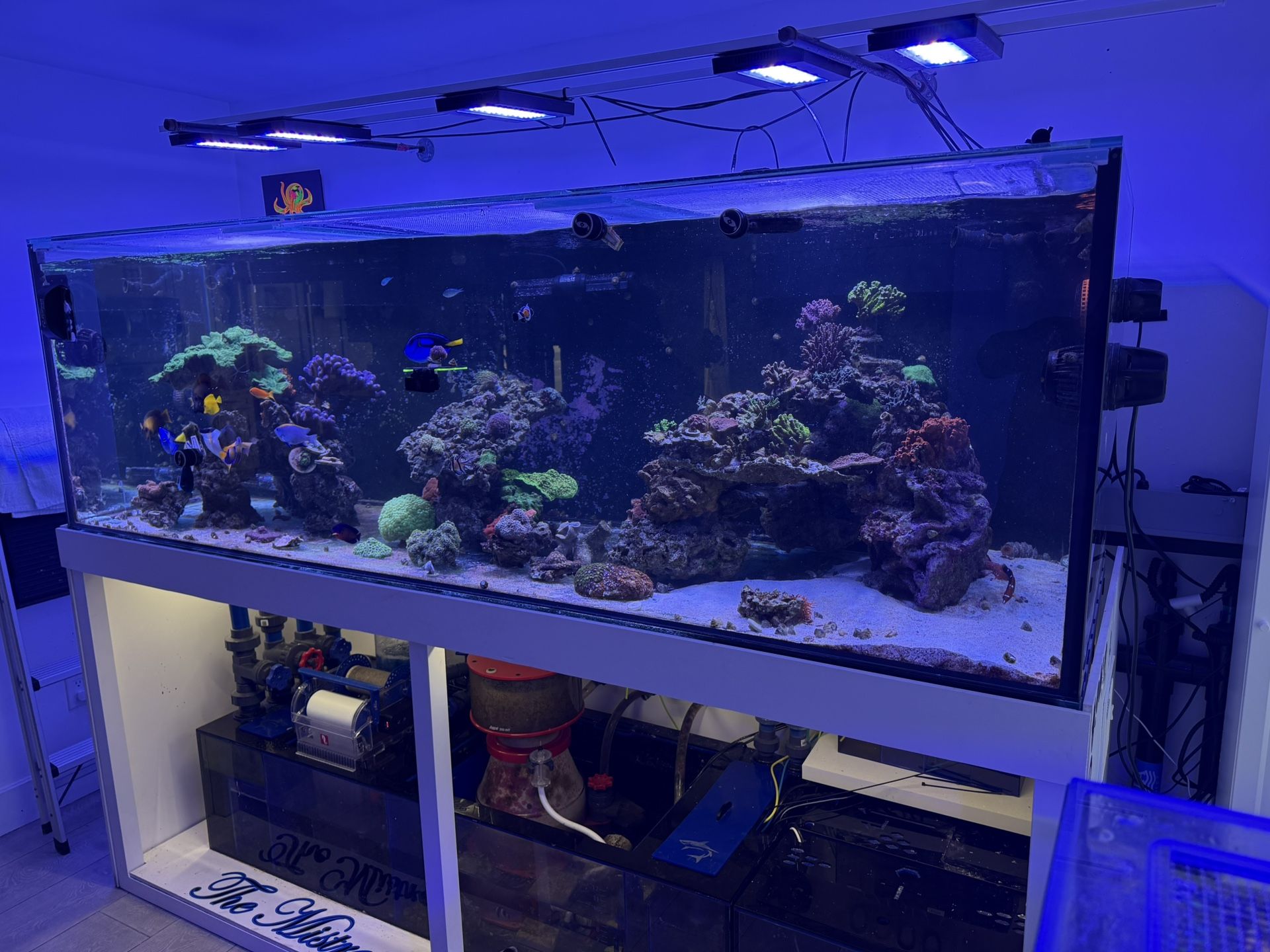 Fish Tank