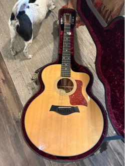Taylor acoustic guitar