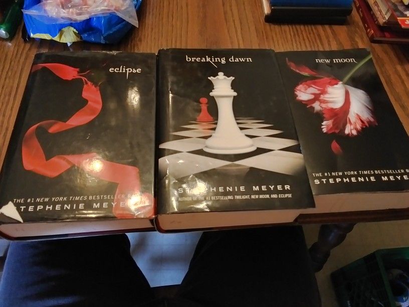 Twilight Books