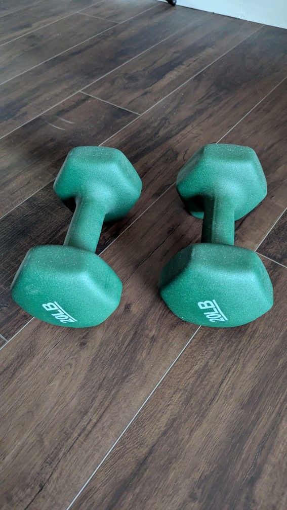 20lb Weights Dumbbells