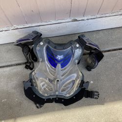 motorcycle protector