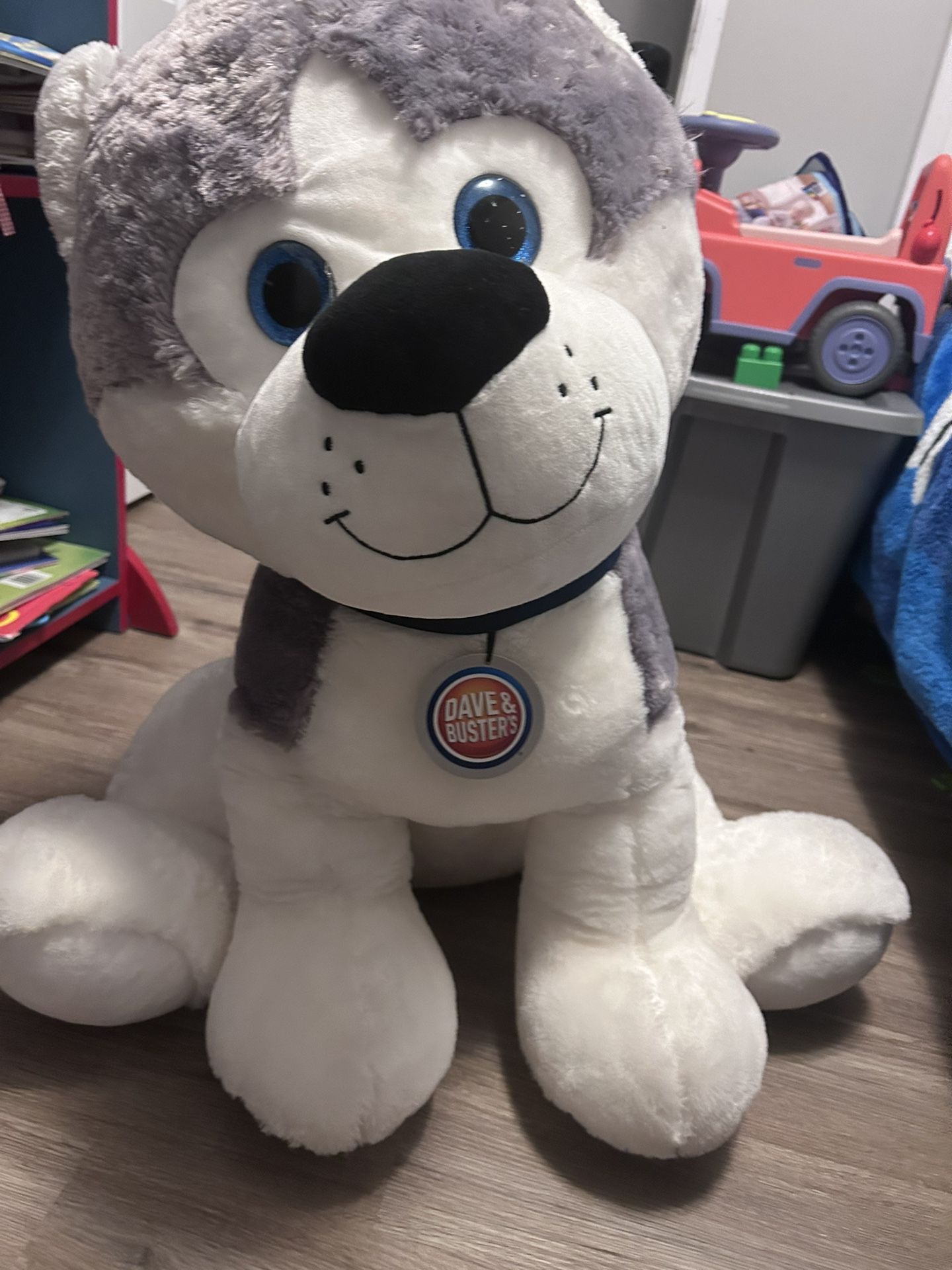 Dave And Busters Husky Dog