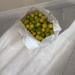 20 Limes For 1 Dollar 