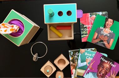 Lovevery Baby/Toddler Toys and Books Bundle