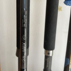 Phenix Freshwater Series Spinning Fishing Rod  Brand New 