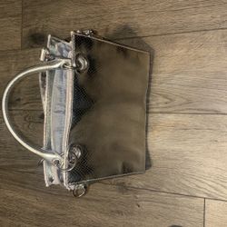 Metallic Silver purse