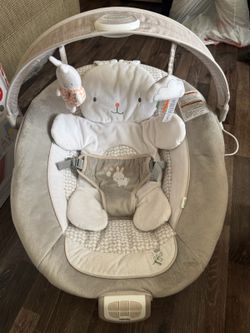 Baby Bouncer