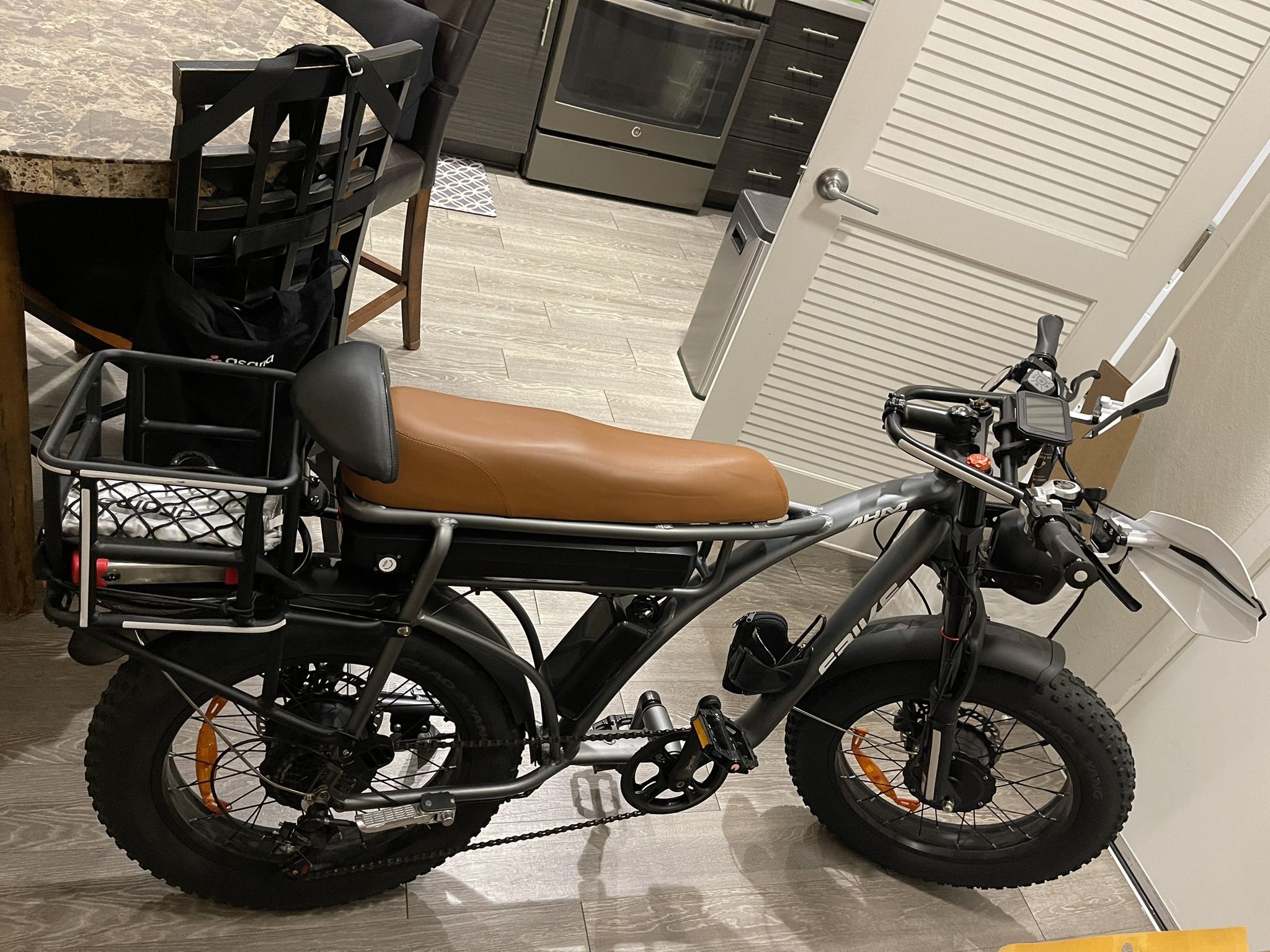 Dual Motor 2 Seater E-bike with Hydraulic Brakes