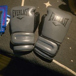 Everlast PowerLock 2 Boxing Gloves