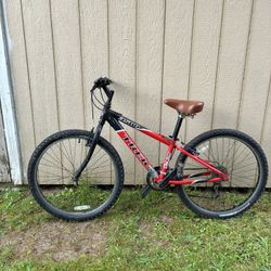 TREK Mountain Bike
