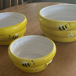 Bumble Bee Ceramic Plant Bowl Set