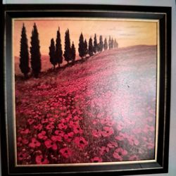 Poppy Painting 29X29inch