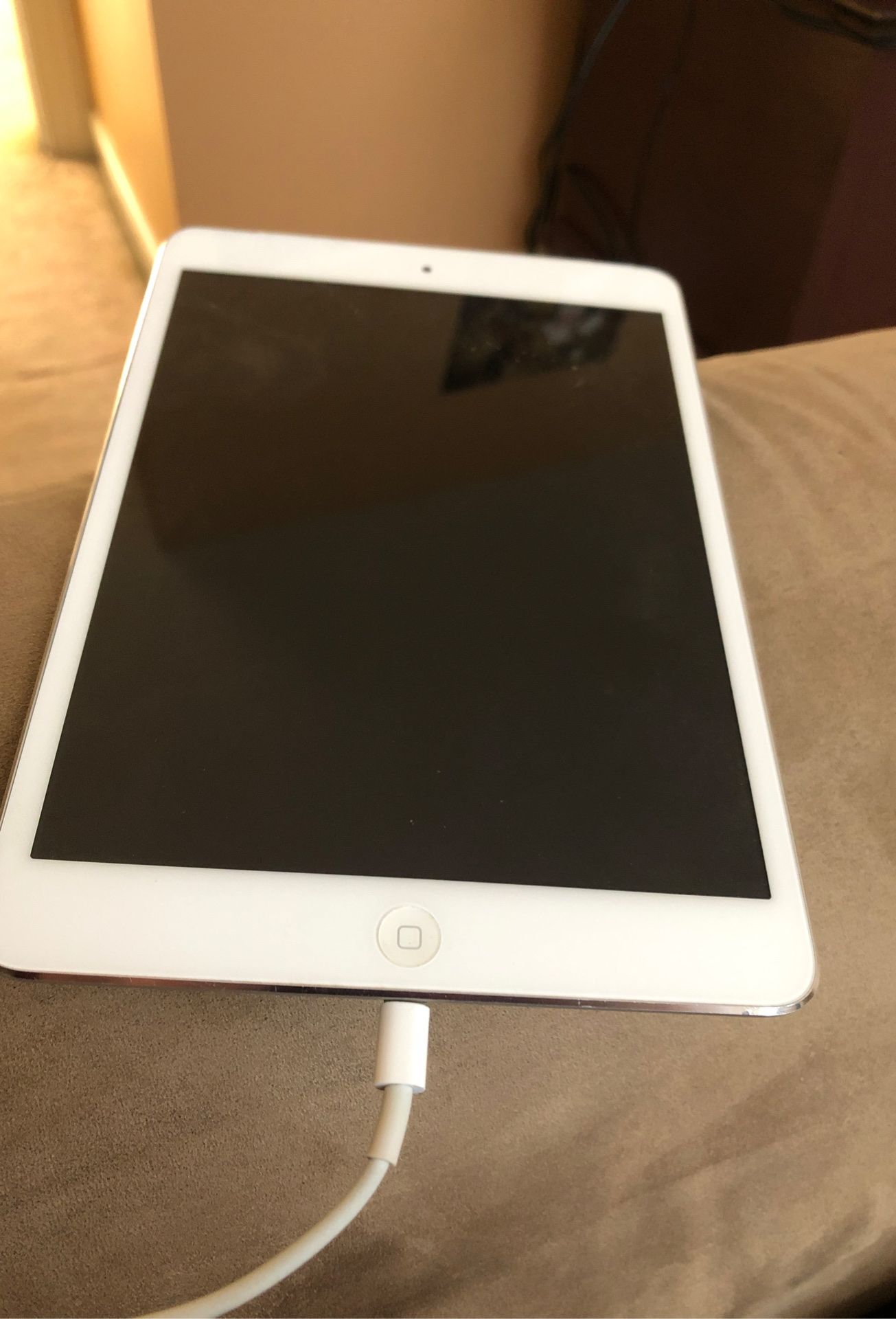 iPad mini 2