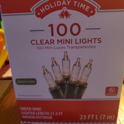 Christmas Mini Lights