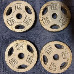 1” weight plates total of 100lbs