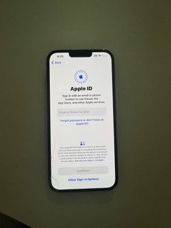 iPhone 13 Pro Max